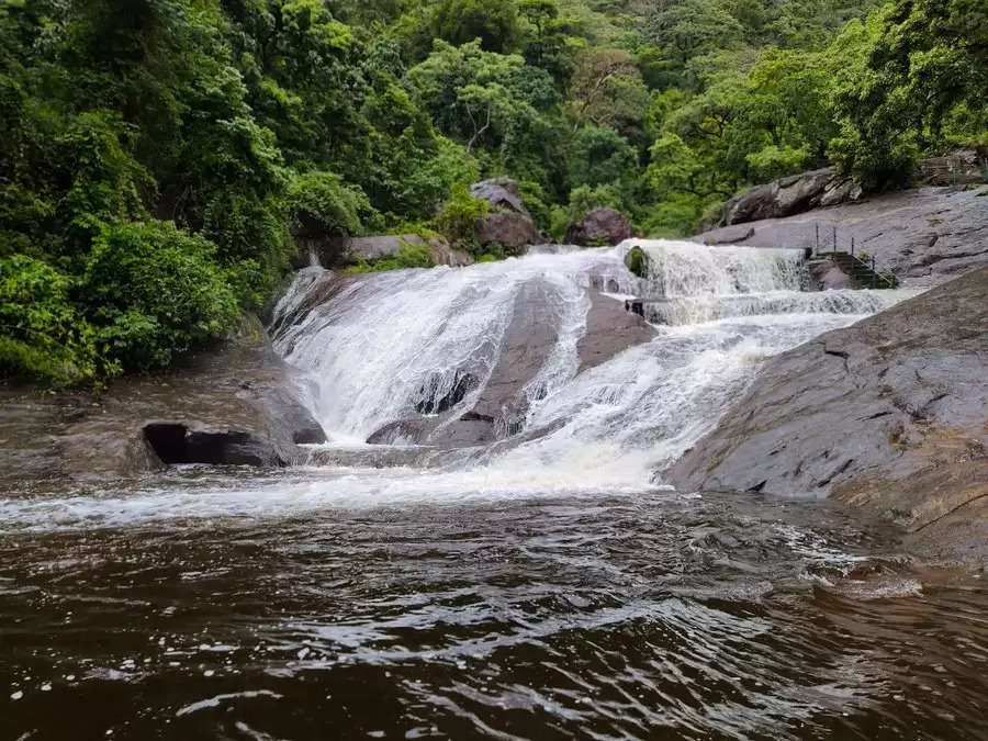 நீர்பிடிப்பு பகுதிகளில் தொடர் மழை… கோவை குற்றால அருவியில் வெள்ளப்பெருக்கு!