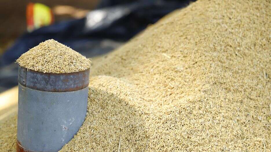 அரசு நெல் கொள்முதல் நியாயமான முறையில் நடைபெற வேண்டும் : மக்கள் நீதி மய்யம் வலியுறுத்தல்!